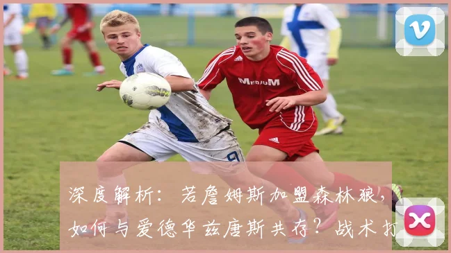 深度解析：若詹姆斯加盟森林狼，如何与爱德华兹唐斯共存？战术打法全展望